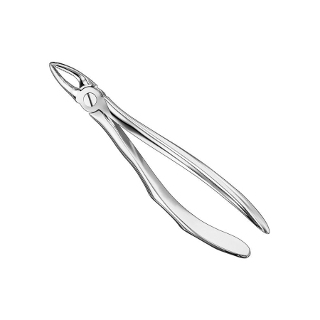 Extracting forceps, engl